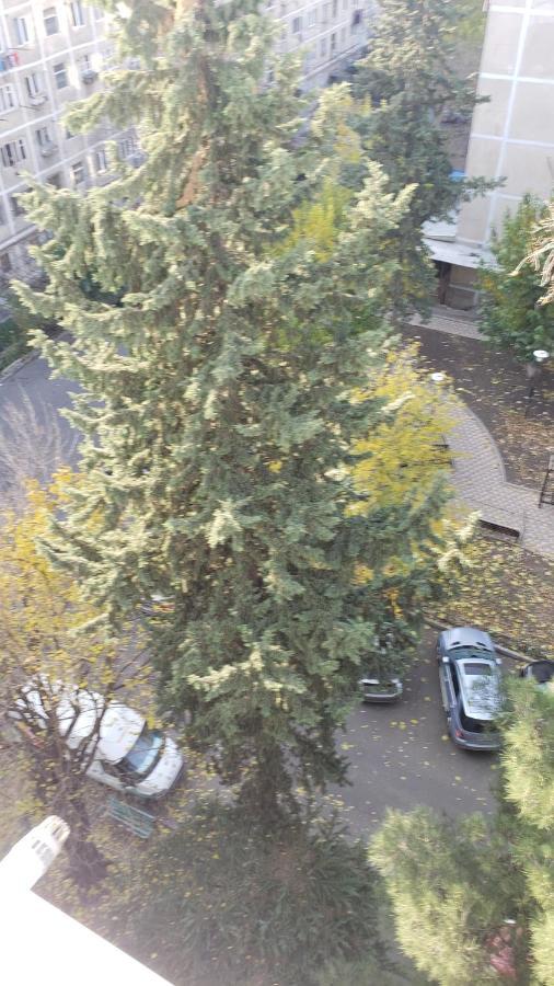 Lovely Apartment Tbilisi Exterior foto